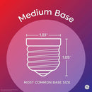 GE Reveal Light Bulbs, 40 Watt, A15 Ceiling Fan Bulbs, Medium Base (2 Pack)