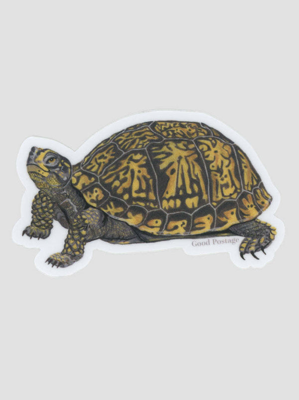 Turtle Sticker