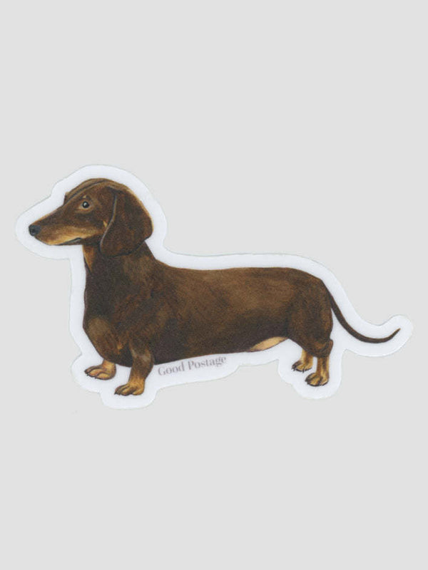 Dachshund Sticker