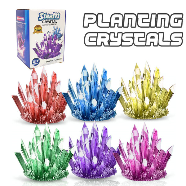 Children's Hot Selling Crystal Planting Science Experiment Toys