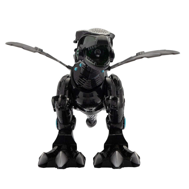 Remote Control Dinosaur Toy, Intelligent Dinosaur Robot with Spray Mist and Battle Mode for Toddler 3-10 Year Old,Black XH